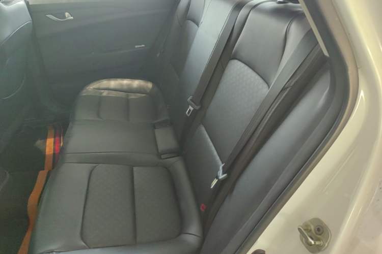 Used CHANGAN Eado New Energy 2022 EV460 Smart Ride-Hailing Edition – Lithium Iron Phosphate Left Rear Seat