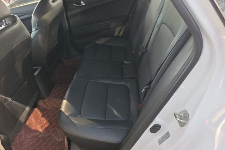Used CHANGAN Eado New Energy 2022 EV460 Smart Ride-Hailing Edition – Lithium Iron Phosphate Left Rear Seat