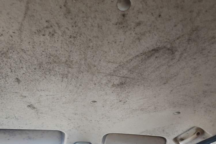 Used CHANGAN KAICHENG F300 2022 1.5L Houlang Version Standard Wheelbase DAM15KL Headliner