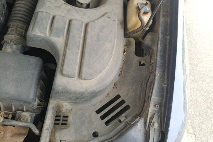 Used CHANGAN KAICHENG Ounuo S 2012 1.5L Standard Version Engine Bay Left