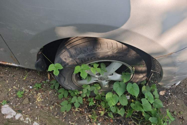 Used CHANGAN KAICHENG Ounuo S 2012 1.3L Standard Version Right Front Wheel Hub