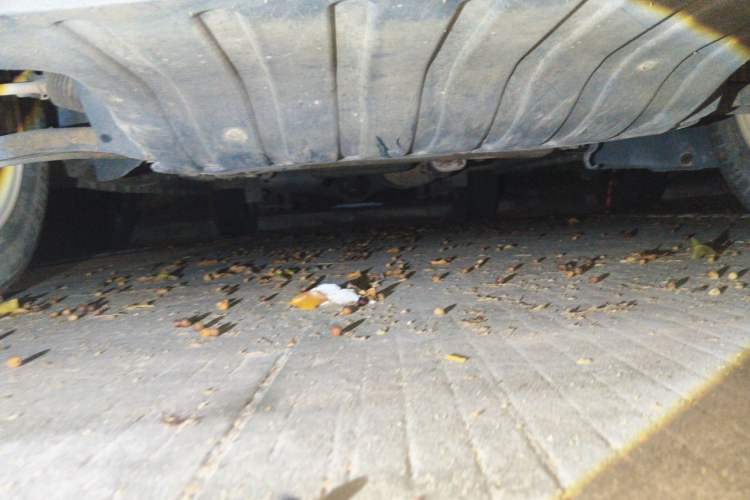 Used CHANGAN KAICHENG Ounuo S 2012 1.3L Standard Version Chassis Front