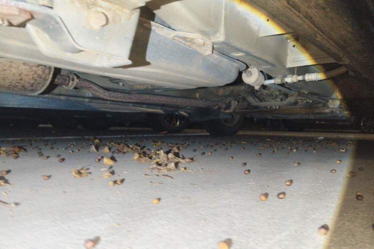 Used CHANGAN KAICHENG Ounuo S 2012 1.3L Standard Version Chassis Rear Right