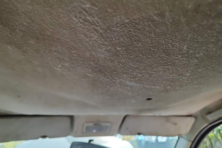 Used CHANGAN KAICHENG Ounuo S  Headliner