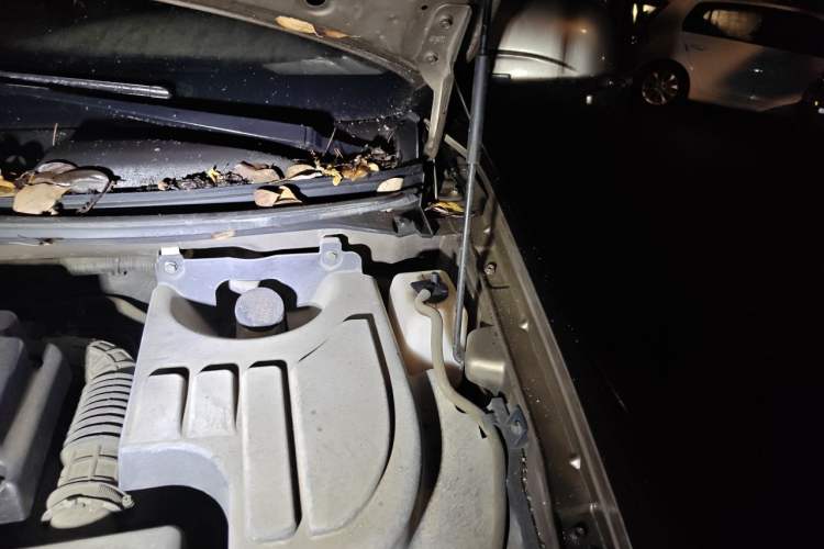 Used CHANGAN KAICHENG Ounuo S 2014 1.5L Base Version Engine Bay Left