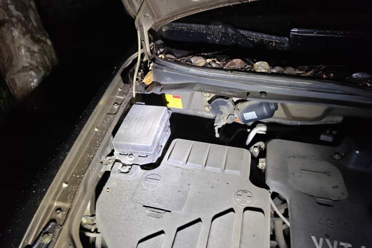 Used CHANGAN KAICHENG Ounuo S 2014 1.5L Base Version Engine Bay Right