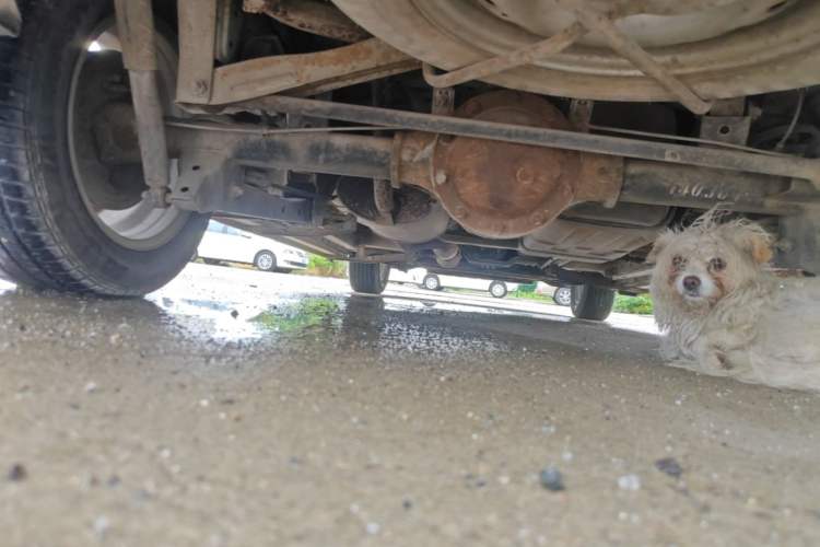 Used CHANGAN KAICHENG Ounuo S 2014 1.5L Luxury Model Chassis Rear