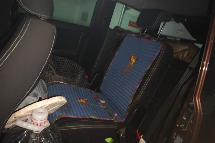 Used CHANGAN KAICHENG Ounuo S 2017 1.5L Ouno S Standard Edition EA15-AB Left Rear Seat
