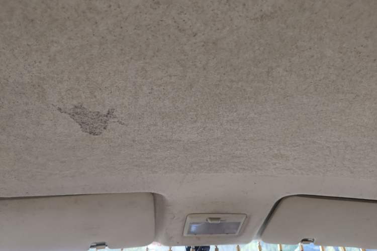 Used CHANGAN KAICHENG Ounuo S 2017 1.5L Base Version Headliner