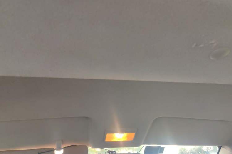 Used CHANGAN KAICHENG Ounuo S 2019 1.5L Ouno S Economy 5-Seat JL473QG Headliner