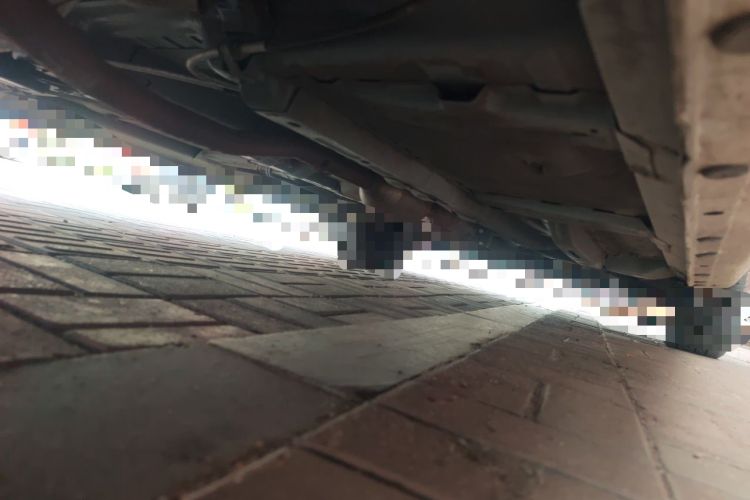 Used CHANGAN KAICHENG Oushang A600 2020 1.5L Manual Entrepreneurial Model Chassis Rear Right