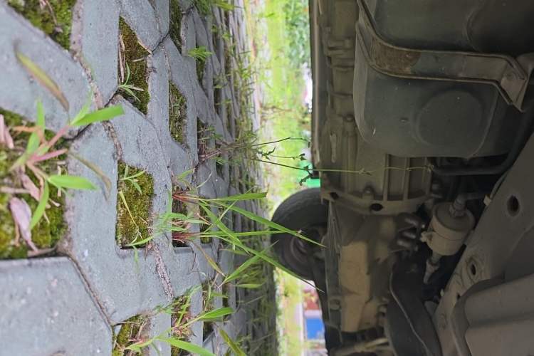 Used CHANGAN KAICHENG Ruixing M60 2020 1.5L Base Version China VI Standard 2-Seater Van with DAM15KR Engine Chassis Front Right