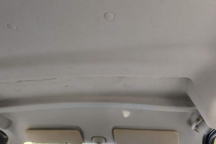 Used CHANGAN KAICHENG Ruixing M60 2023 1.5L GDI Base Version (Rear-Opening Door Edition) Headliner