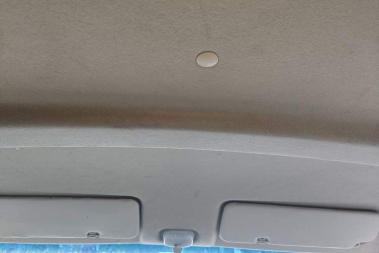 Used CHANGAN KAICHENG Ruixing M80 2020 1.6L Comfort Model China VI Standard Flat Roof Back-Hinged Doors 2 Seats CNG DAM16KRC Headliner