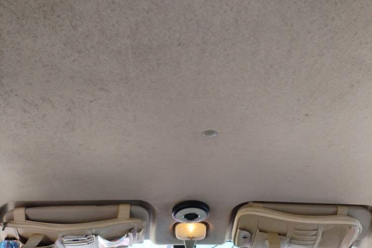 Used CHANGAN KAICHENG Shenqi F30 2018 1.5L Luxury Short-Wheelbase DAM15L Headliner