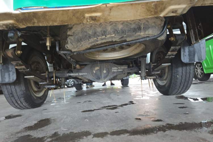 Used CHANGAN KAICHENG Shenqi F30 2018 1.5L Comfort Trim Short Wheelbase DAM15L Chassis Rear