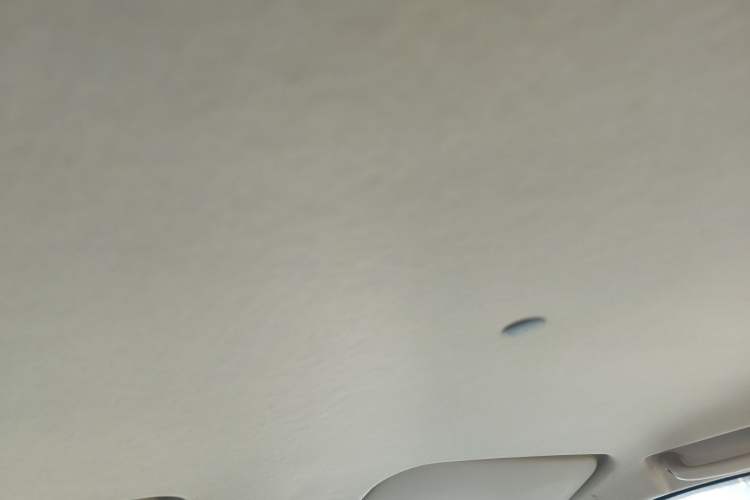 Used CHANGAN KAICHENG Shenqi F30 2018 1.5L Comfort Trim Short Wheelbase DAM15L Headliner