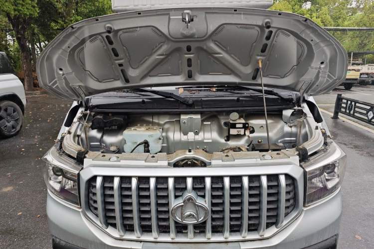 Used CHANGAN KAICHENG Shenqi T30 2021 1.6L Luxury Double-Cab 2.55m Steel-Plate Van DAM16KR Engine Bay