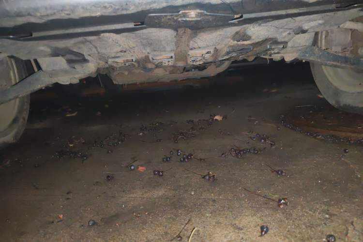 Used CHANGAN KAICHENG Star 2013 1.2L New Changan Star Standard Model Chassis Front