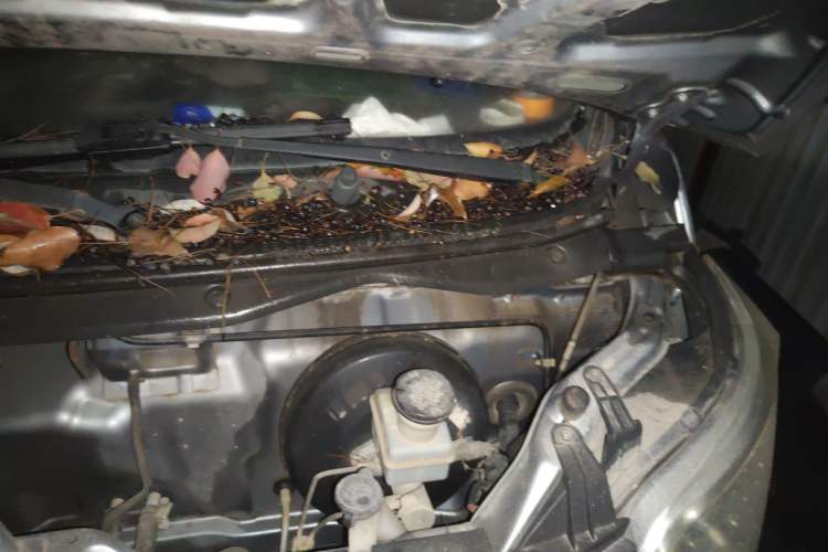 Used CHANGAN KAICHENG Star 2013 1.2L New Changan Star Standard Model Engine Bay Left