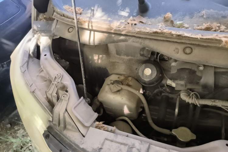 Used CHANGAN KAICHENG Star 2013 1.2L New Changan Star CNG Base Model JL473QE Engine Bay Right