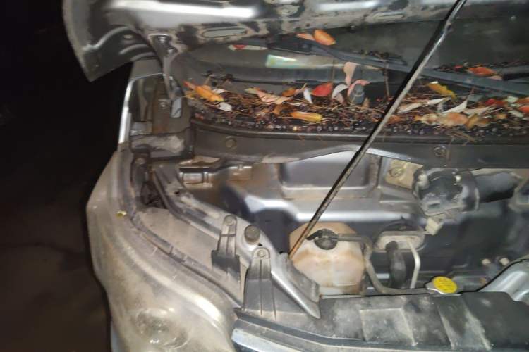 Used CHANGAN KAICHENG Star 2013 1.2L New Changan Star Standard Model Engine Bay Right