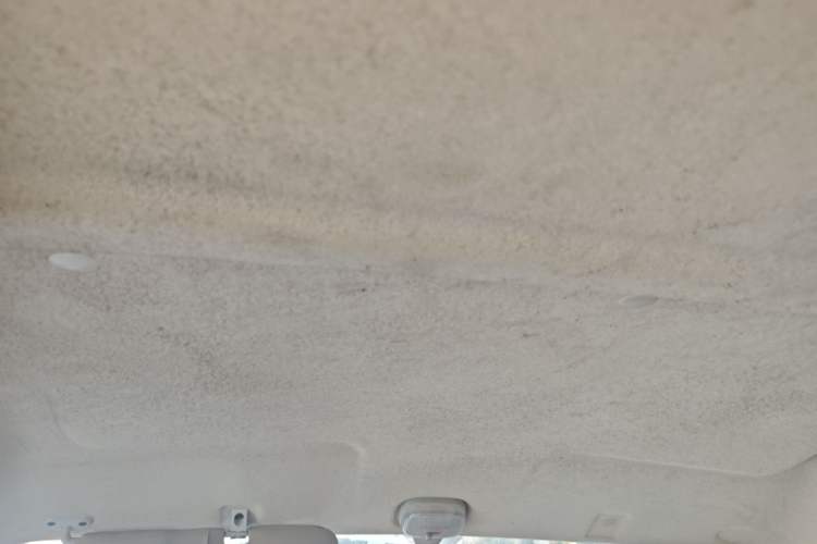Used CHANGAN KAICHENG Star 3 2015 1.0L Value Edition Non-Air-Conditioned C10 Headliner
