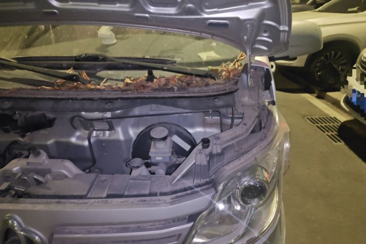 Used CHANGAN KAICHENG Star 5 2020 1.2L Base Version JL473Q Engine Bay Left