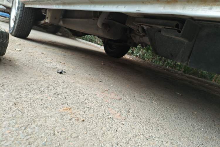 Used CHANGAN KAICHENG Star 5 2021 1.4L Standard-Model Bus China VI EA14MR Chassis Front Right