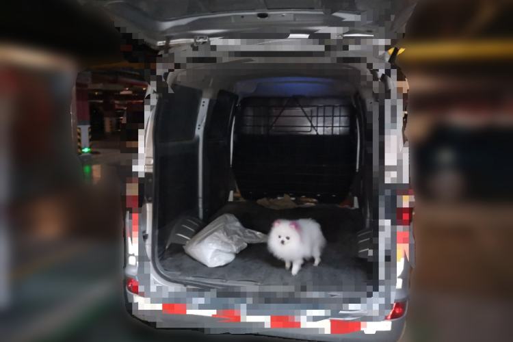 Used CHANGAN KAICHENG Star 5  Trunk