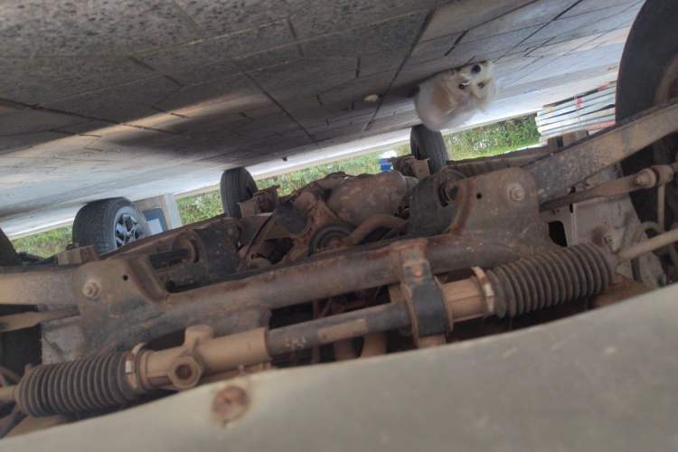 Used CHANGAN KAICHENG Star 9 2015 1.5L Base Version 4G15S Chassis Front