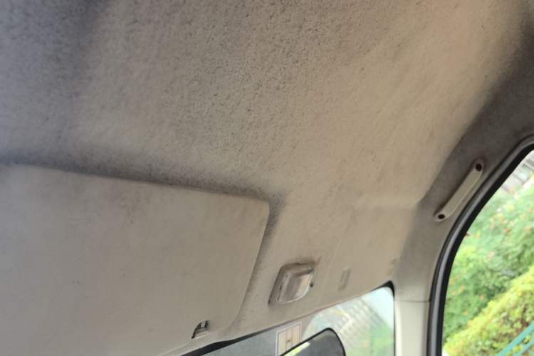 Used CHANGAN KAICHENG Star 9EV 2018 Truck Headliner