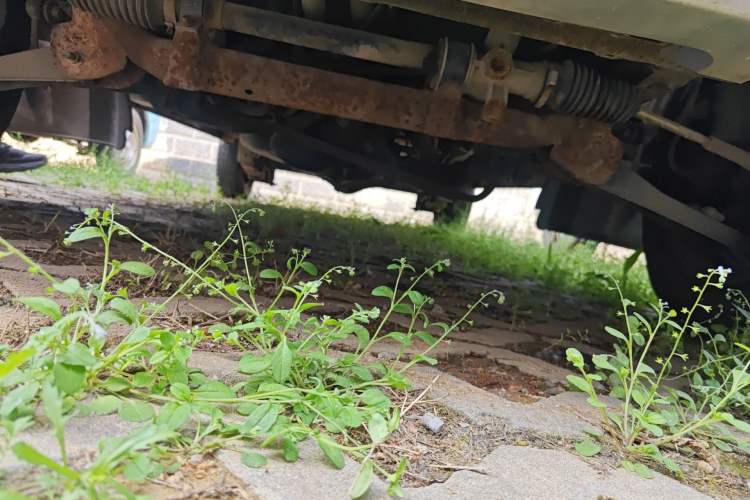 Used CHANGAN KAICHENG Star S460 2009 1.0L Base Version Chassis Front