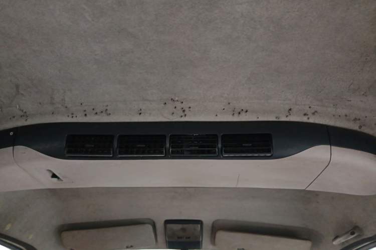 Used CHANGAN KAICHENG Star S460 2009 1.3L Base Version Headliner