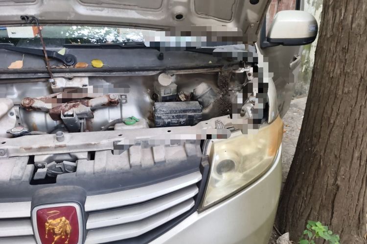 Used CHANGAN KAICHENG Taurus 2011 1.3L Standard Version Engine Bay Left