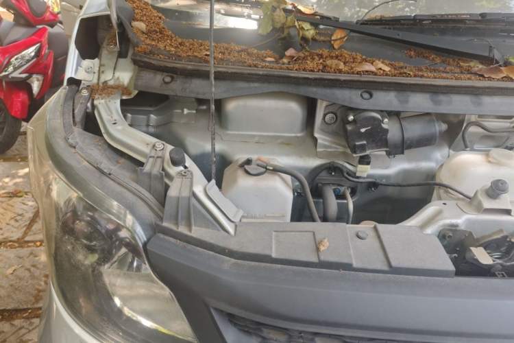 Used CHANGAN KAICHENG Xingka 2021 1.5L Standard-Grade Long-Wheelbase Double-Cab JL473QH Engine Bay Right