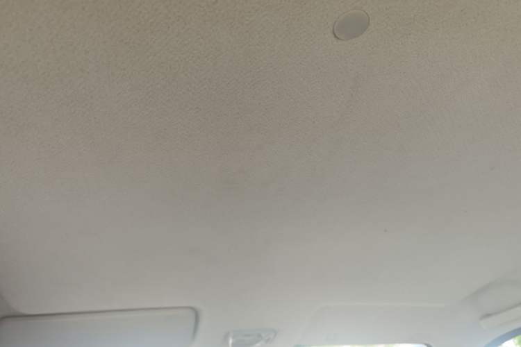 Used CHANGAN KAICHENG Xingka 2021 1.5L Standard-Grade Long-Wheelbase Double-Cab JL473QH Headliner