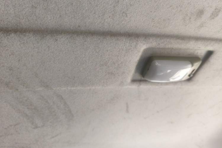 Used CHANGAN KUAYUE Wang 2017 1.5L Rear Dual Wheels Double Row DK15 Headliner