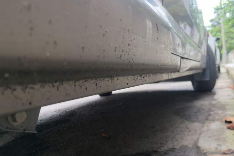 Used CHANGAN KUAYUE Xing V5 2021 1.5L Fortune-Attracting Deluxe Model JL473QH Chassis Rear Right