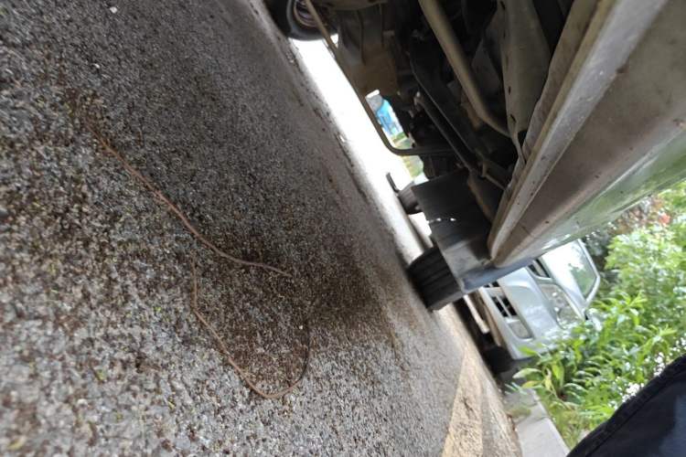 Used CHANGAN KUAYUE Xing V5 2021 1.5L Fortune-Attracting Deluxe Model JL473QH Chassis Rear Right