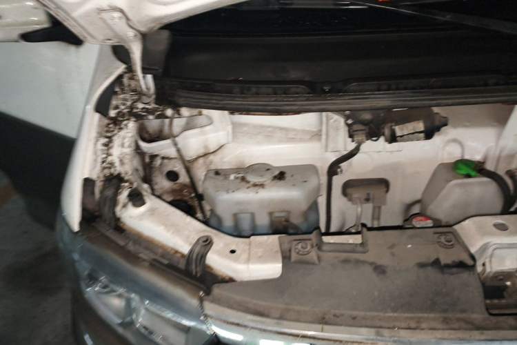 Used CHANGAN KUAYUE Xing V5 2021 1.5L Fortune-Attracting Edition Comfort Model JL473QH Engine Bay Right