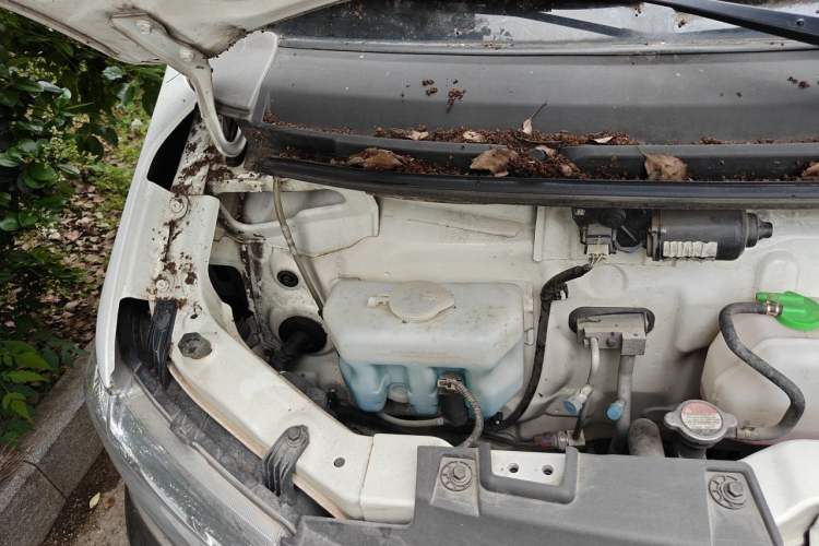 Used CHANGAN KUAYUE Xing V5 2021 1.5L Fortune-Attracting Deluxe Model JL473QH Engine Bay Right