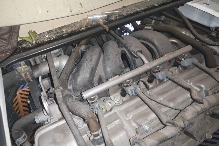Used CHANGAN KUAYUE Xing V7 2022 1.6L Gasoline Comfort Version 2-Seat Dual-Side Doors DAM16KR Engine Bay Right