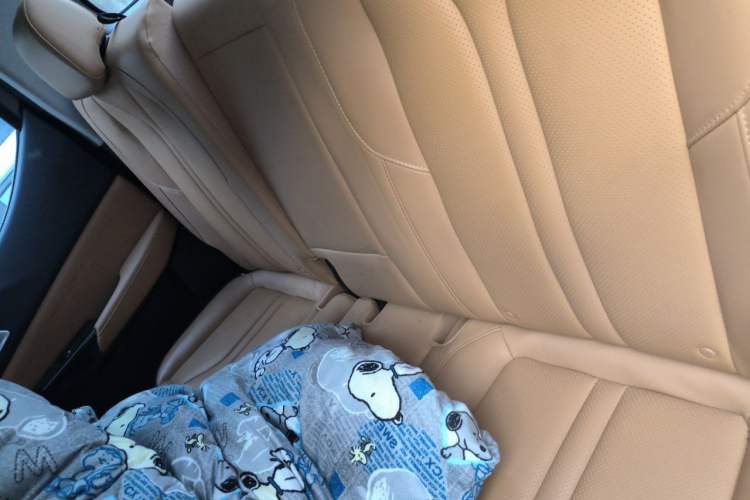 Used CHANGAN Lantop 2023 2.0T Automatic 4x4 Gasoline Flagship Standard Cab Left Rear Seat