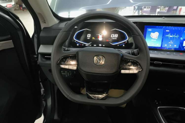 Used CHANGAN Lantop 2023 2.0T Manual 4x4 Diesel Elite Long-Box Version Steering Wheel