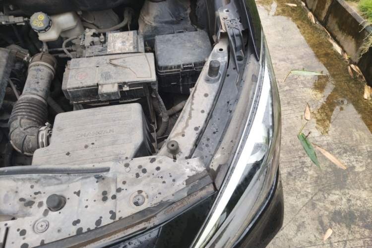 Used CHANGAN Lingxuan 2017 1.6L Manual Elite Model Engine Bay Left