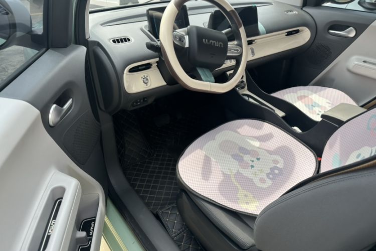 Used CHANGAN Lumin 2022 210km Sweet Edition Interior 3