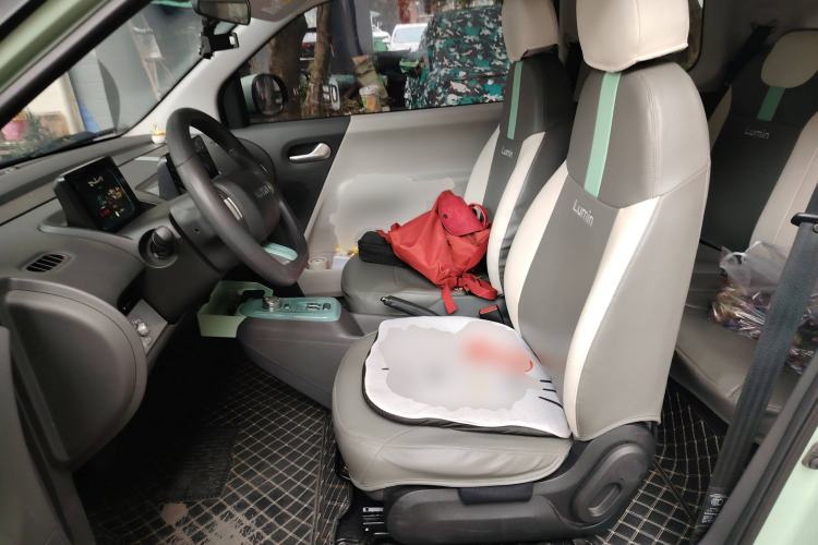 Used CHANGAN Lumin 2022 210km Sweet Edition Left Front Seat