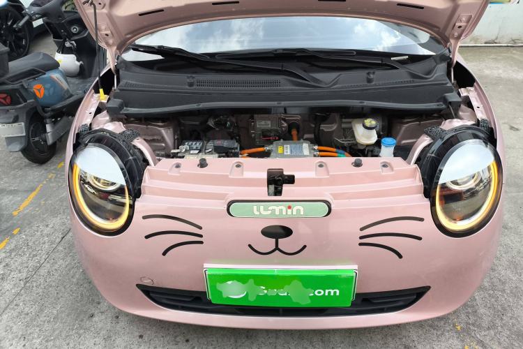 Used CHANGAN Lumin 2022 210km Sweet Edition Engine Bay