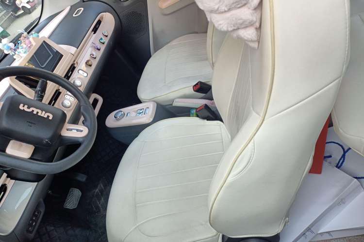Used CHANGAN Lumin 2022 210km Sweet Edition Left Front Seat
